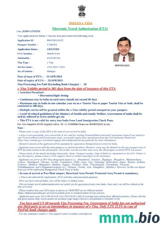 Szablon e-visa do Indii w wersji 4
